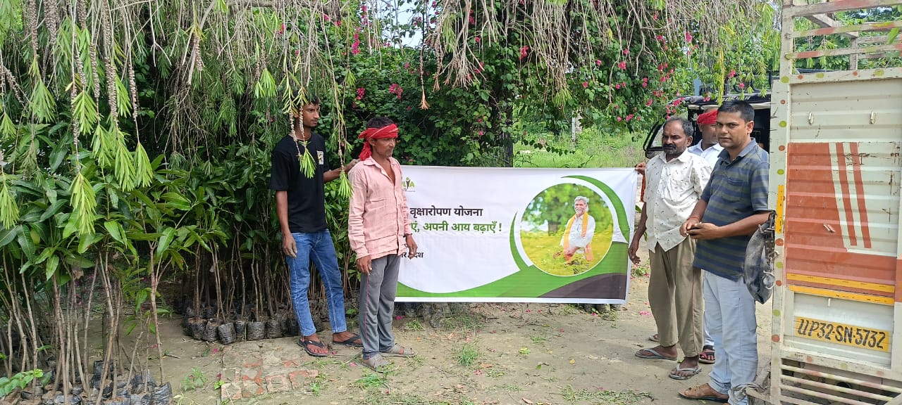 Tree Plantation Drive